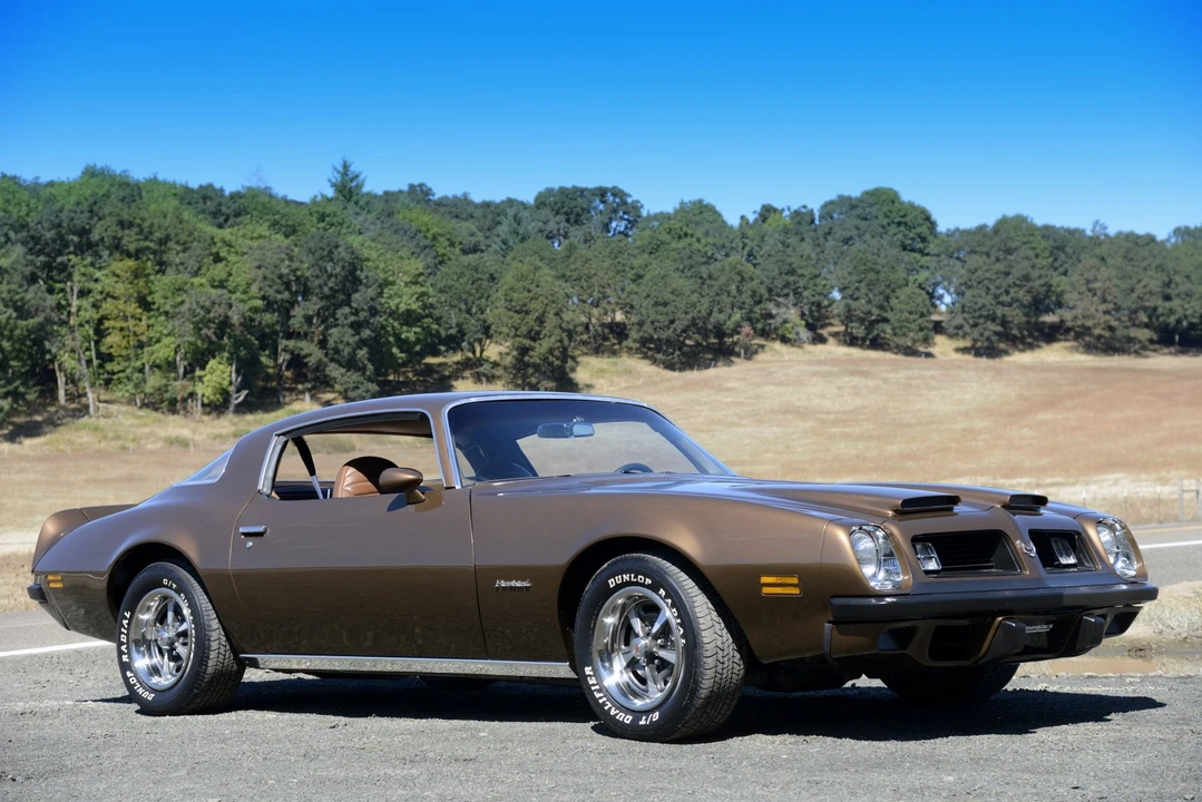 1975 Pontiac Firebird 2nd Gen - Image 12 of 31