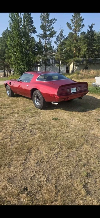 1975 Pontiac Firebird 2nd Gen - Image 3 of 8