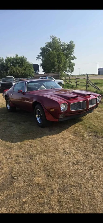 1975 Pontiac Firebird 2nd Gen - Image 2 of 8