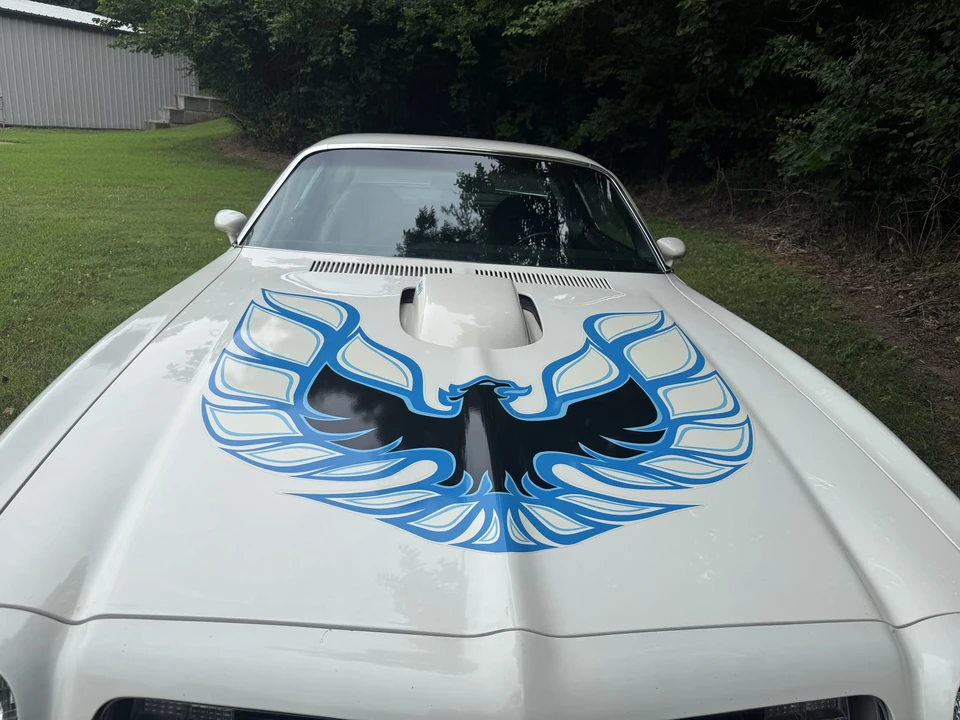 1975 Pontiac Firebird Trans Am 2nd Gen - Image 12 of 31