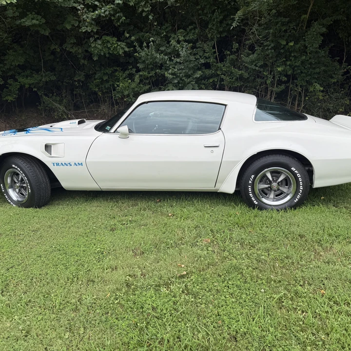 1975 Pontiac Firebird Trans Am 2nd Gen - Image 9 of 31
