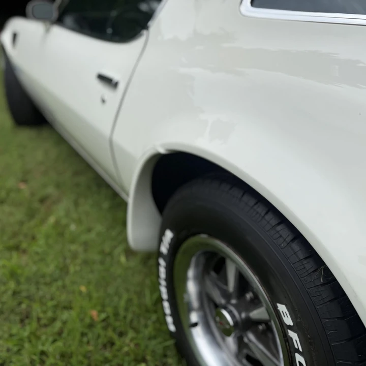 1975 Pontiac Firebird Trans Am 2nd Gen - Image 31 of 31