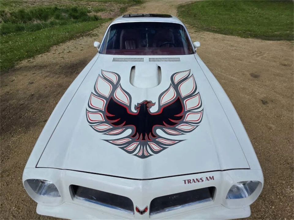 1975 Pontiac Firebird Trans Am 2nd Gen - Image 8 of 21