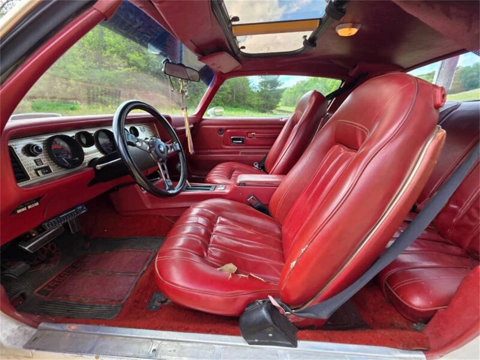 1975 Pontiac Firebird Trans Am 2nd Gen - Image 11 of 21