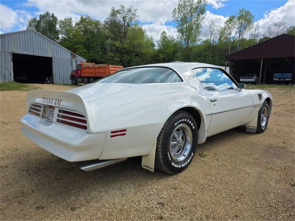 1975 Pontiac Firebird Trans Am 2nd Gen - Image 15 of 21