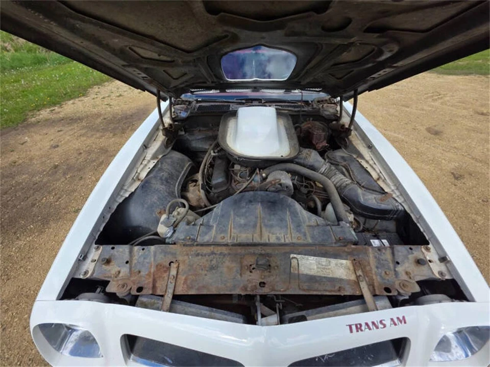 1975 Pontiac Firebird Trans Am 2nd Gen - Image 19 of 21