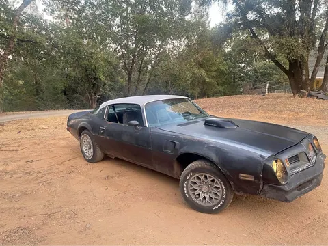 1975 Pontiac Firebird Trans Am Coupe 2D