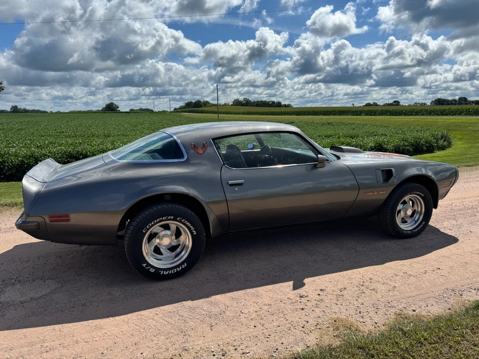 1975 Pontiac Firebird Trans Am 2nd Gen - Image 10 of 31