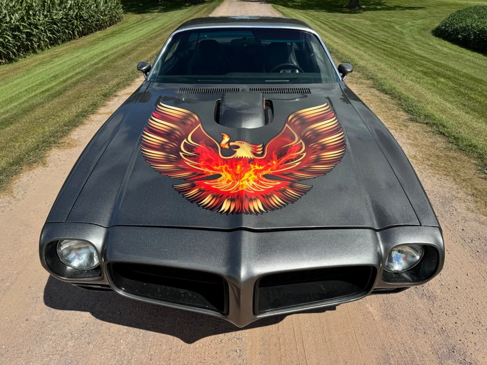 1975 Pontiac Firebird Trans Am 2nd Gen - Image 13 of 31
