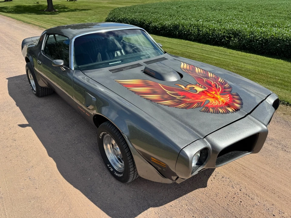 1975 Pontiac Firebird Trans Am 2nd Gen - Image 12 of 31