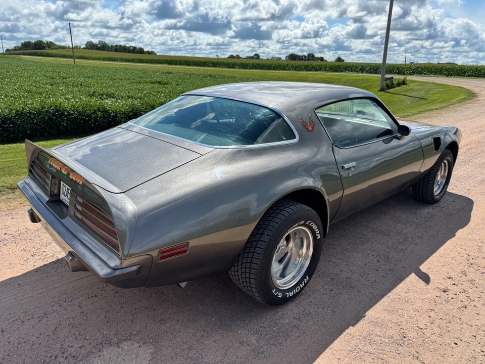 1975 Pontiac Firebird Trans Am 2nd Gen - Image 8 of 31