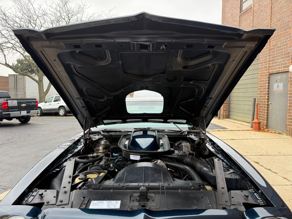 1975 Pontiac Firebird Trans Am 2nd Gen - Image 17 of 21