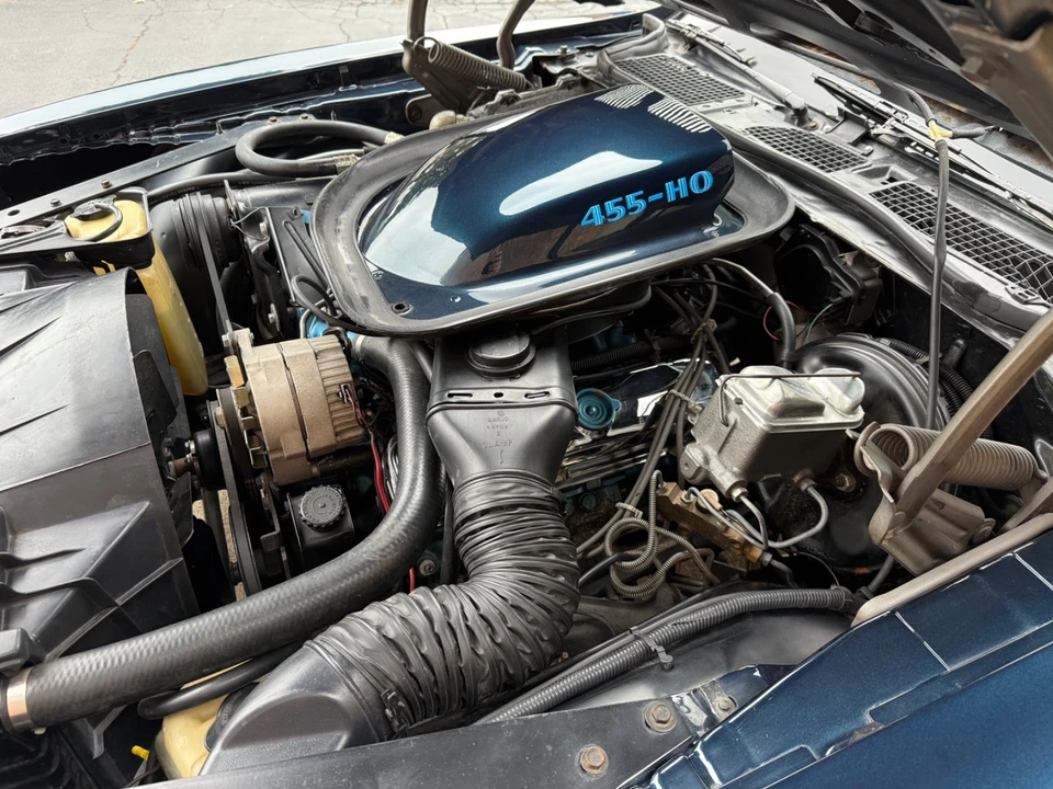 1975 Pontiac Firebird Trans Am 2nd Gen - Image 20 of 21
