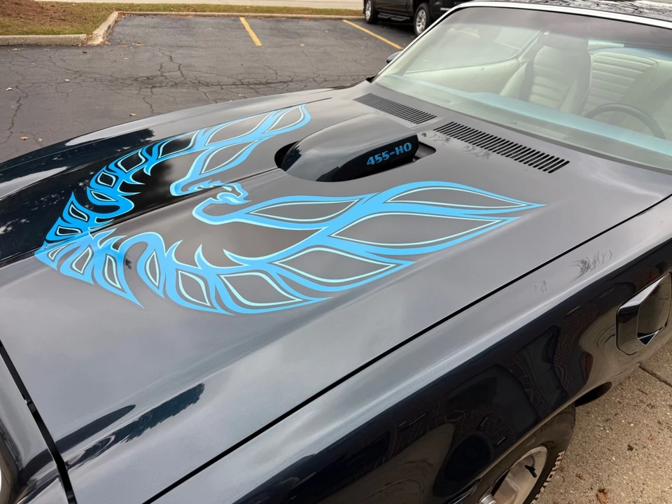 1975 Pontiac Firebird Trans Am 2nd Gen - Image 15 of 21