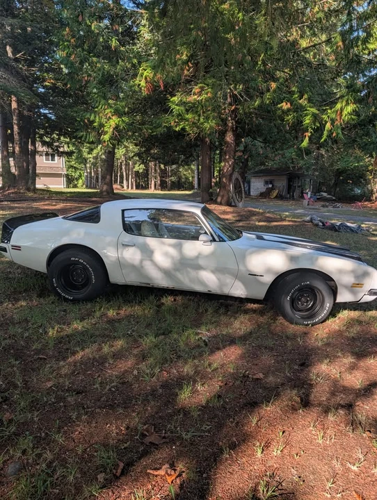 1975 Pontiac Firebird Formula 2nd Gen - Image 2 of 19