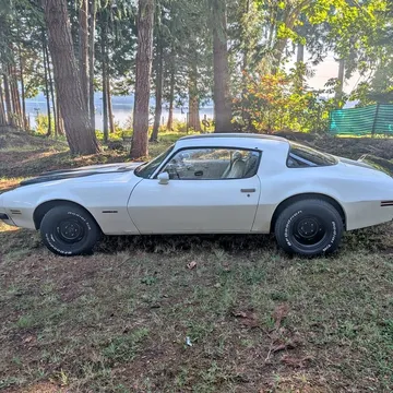 1975 Pontiac Firebird Formula 350
