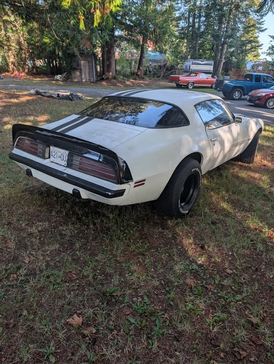 1975 Pontiac Firebird Formula 2nd Gen - Image 4 of 19