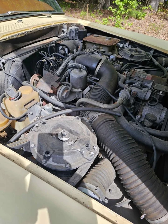 1975 Rolls-Royce Silver Shadow I - Image 8 of 10