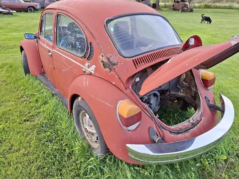 1975 Volkswagen Beetle Gold Edition