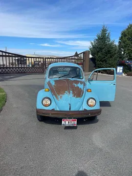 1975 Volkswagen Beetle Standard