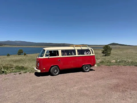 1975 Volkswagen Eurovan