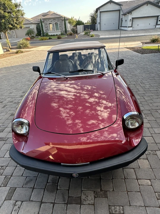 1976 Alfa Romeo Series 2 - Image 11 of 31