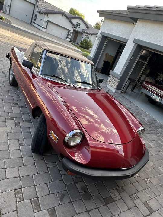 1976 Alfa Romeo Series 2 - Image 8 of 31
