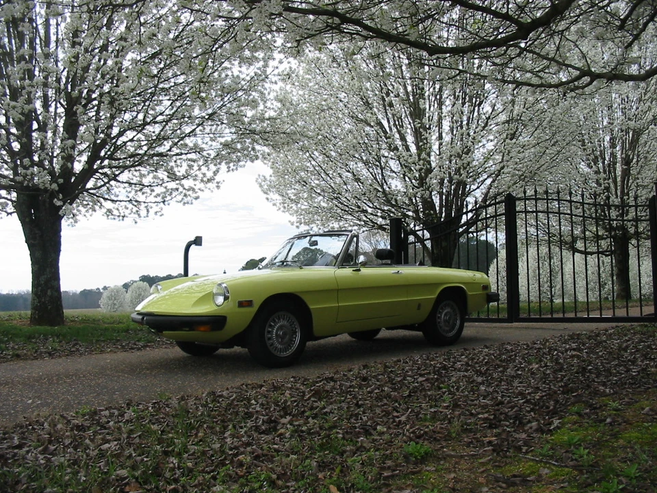 1976 Alfa Romeo Series 2 - Image 8 of 31