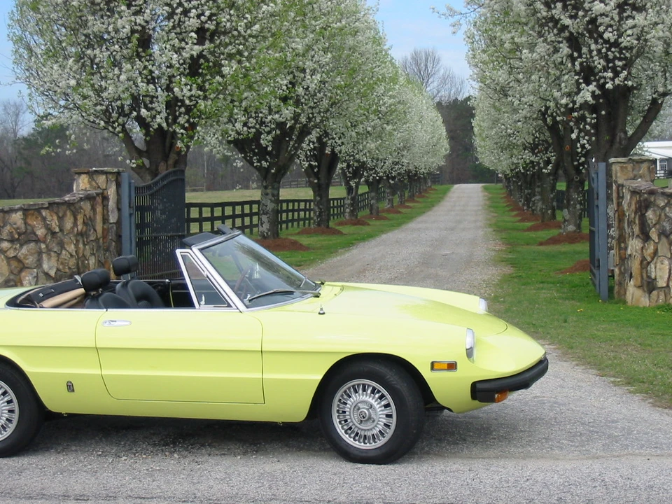 1976 Alfa Romeo Series 2 - Image 11 of 31