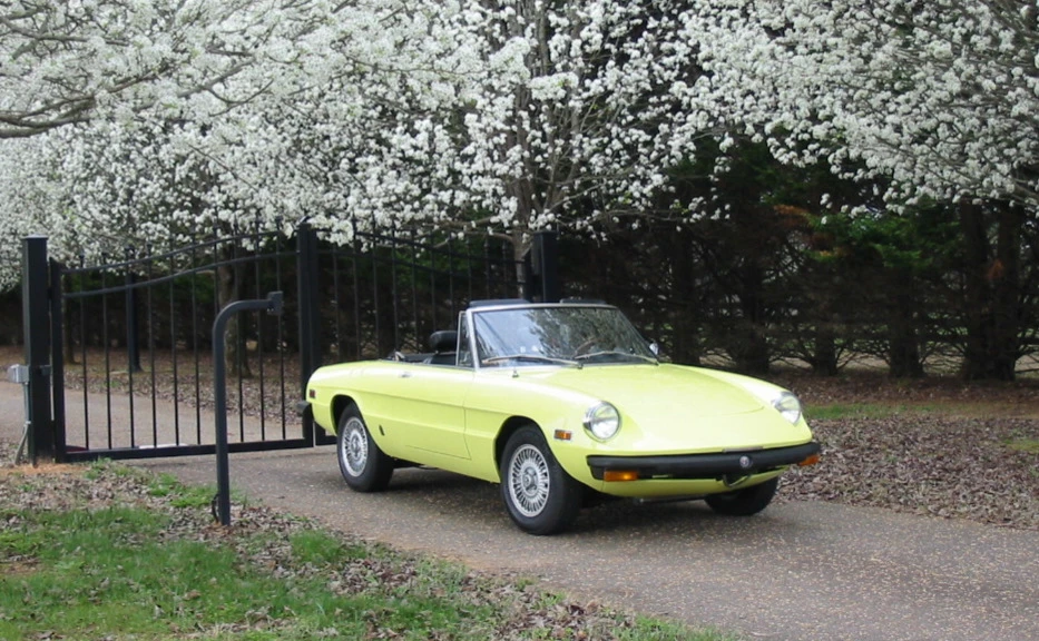 1976 Alfa Romeo Series 2 - Image 10 of 31