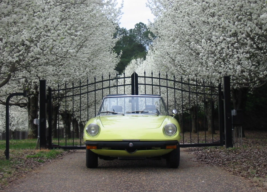 1976 Alfa Romeo Series 2 - Image 9 of 31