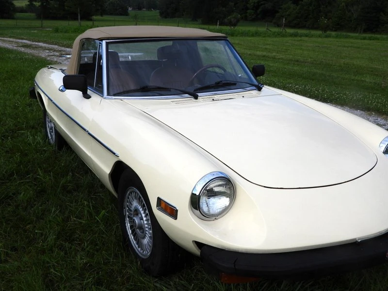 1976 Alfa Romeo Series 2 - Image 5 of 15
