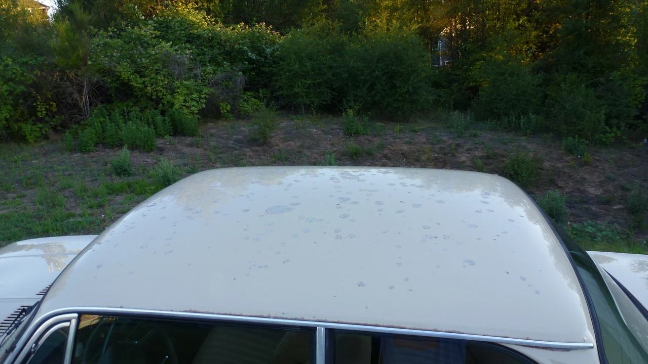 1976 BMW 2002 - Image 30 of 31