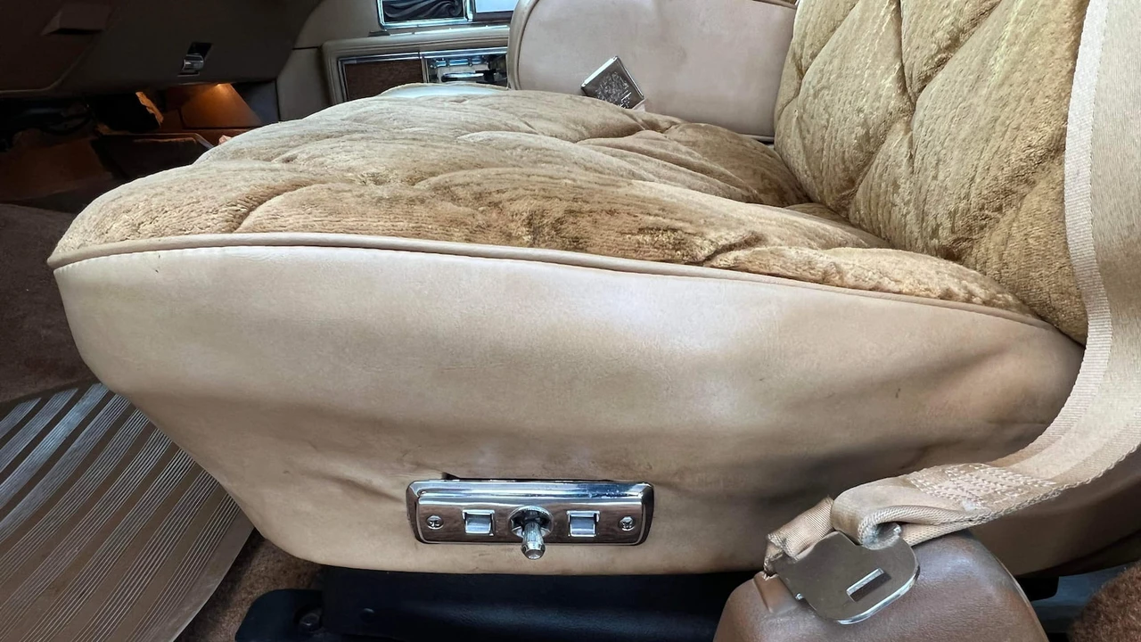 1976 Buick Electra - Image 5 of 11