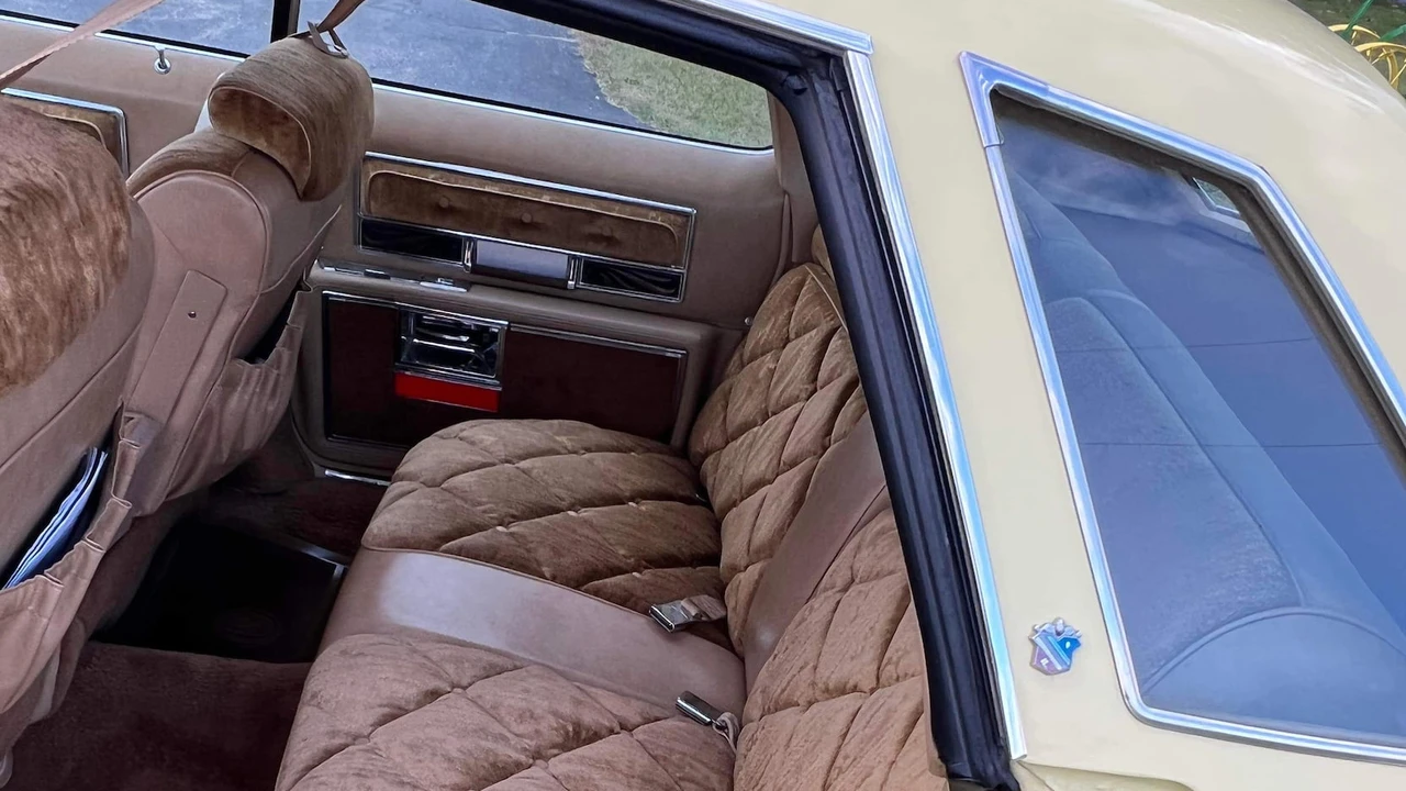 1976 Buick Electra - Image 6 of 11