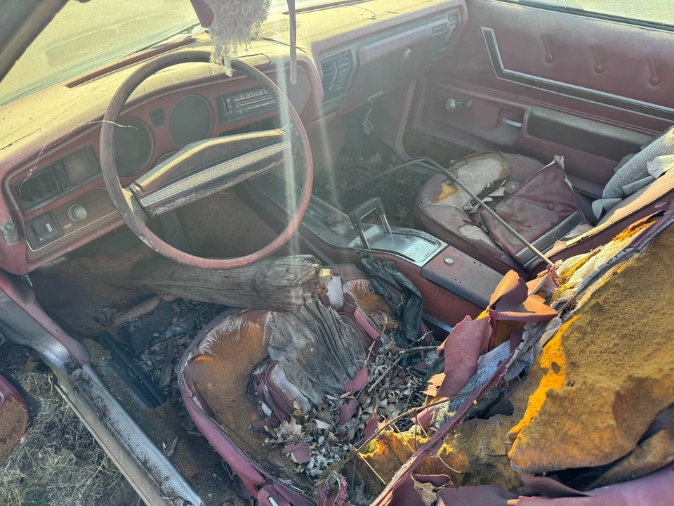1976 Buick Century - Image 8 of 21