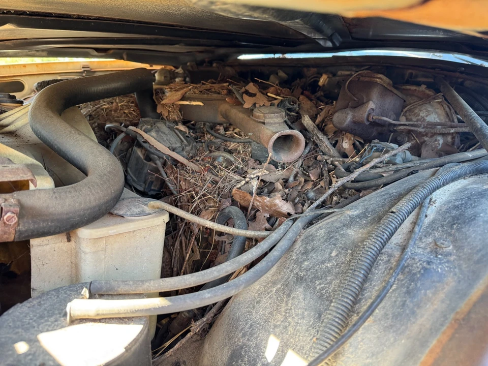 1976 Buick Century - Image 10 of 21