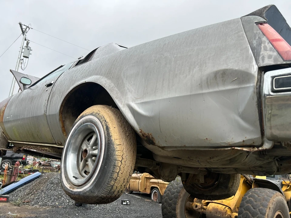 1976 Buick Century - Image 14 of 21