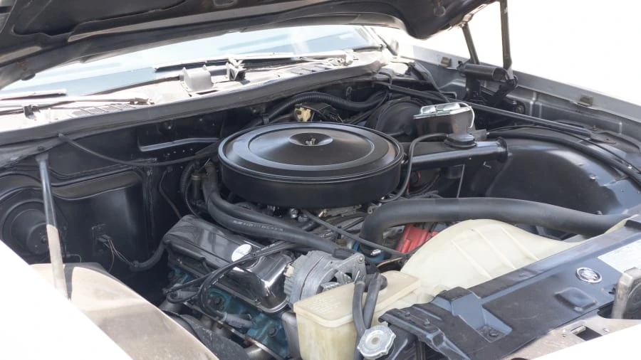 1976 Buick Century - Image 17 of 17