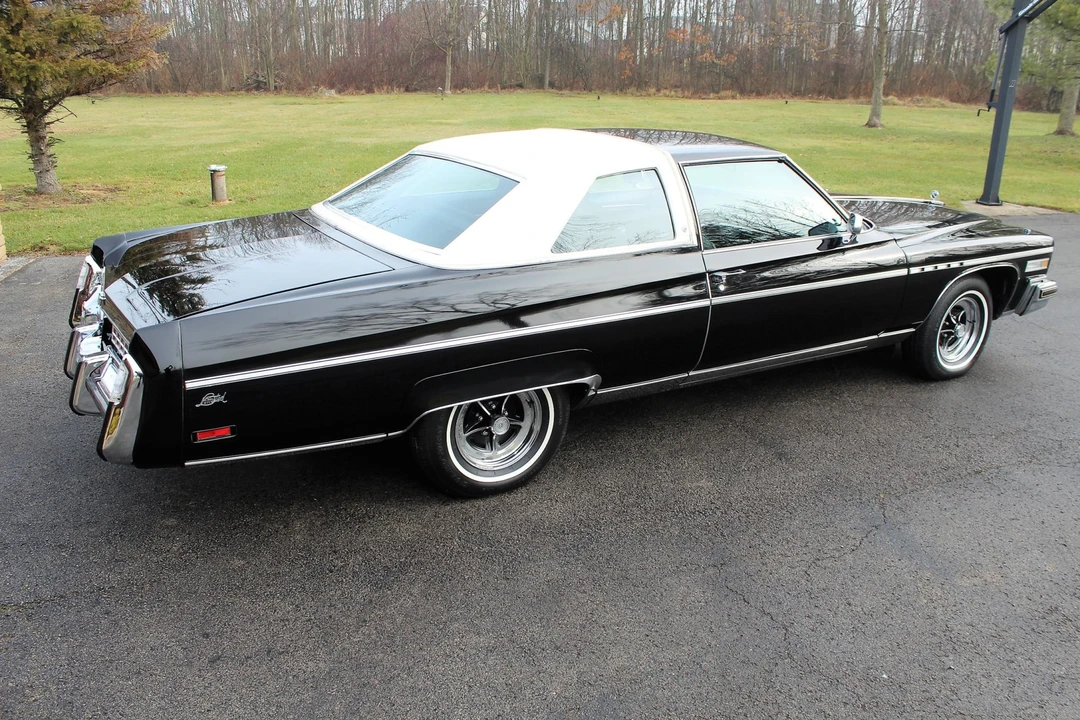 1976 Buick Electra - Image 15 of 31