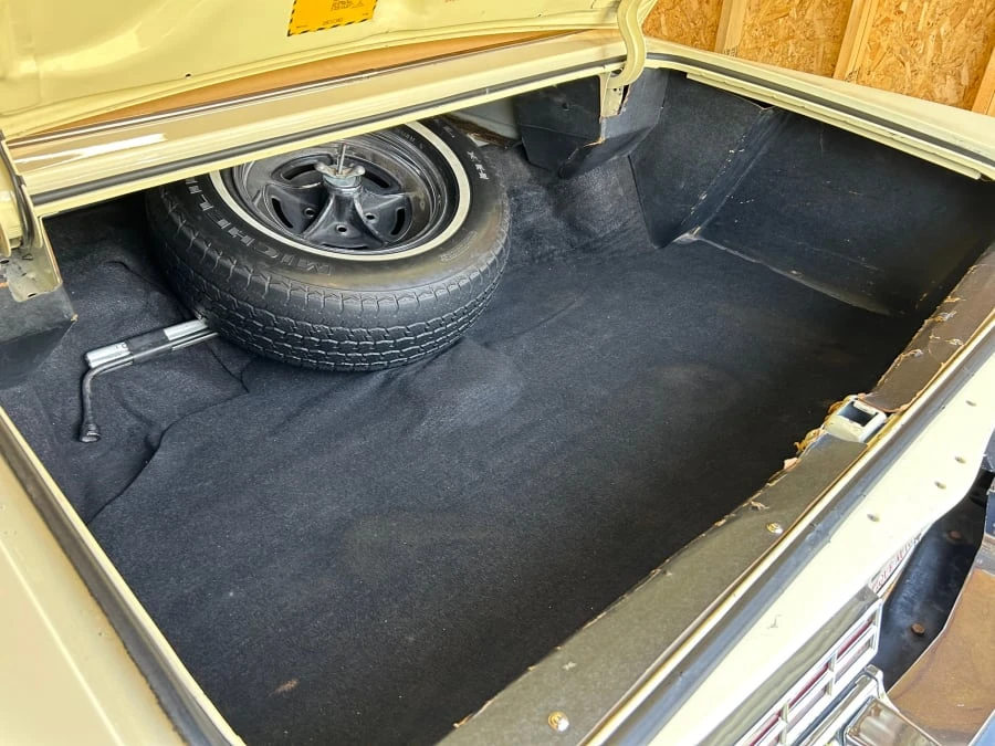 1976 Buick Electra - Image 18 of 22