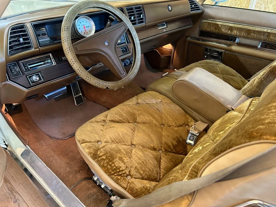 1976 Buick Electra - Image 11 of 22
