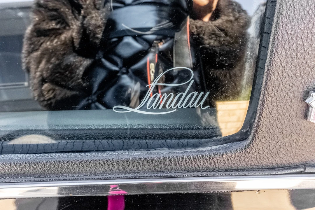 1976 Buick Electra - Image 31 of 31