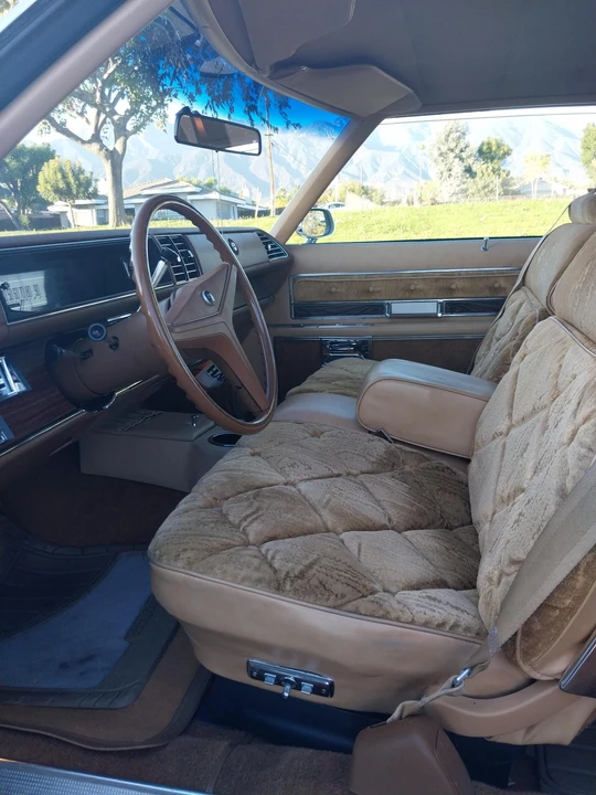 1976 Buick Electra - Image 29 of 31
