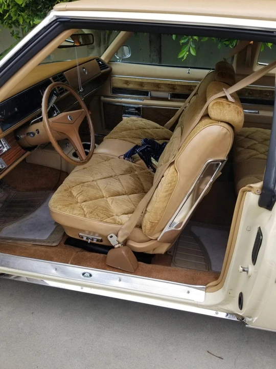 1976 Buick Electra - Image 28 of 31
