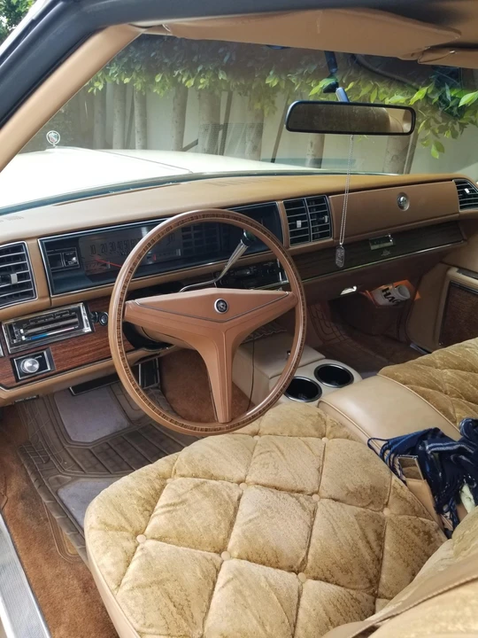 1976 Buick Electra - Image 26 of 31