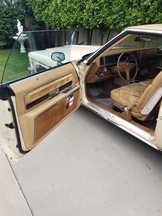1976 Buick Electra - Image 31 of 31