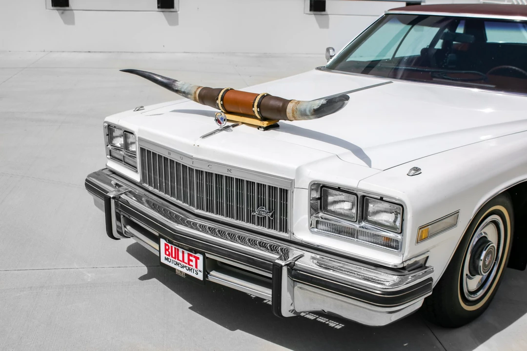 1976 Buick Electra - Image 20 of 31