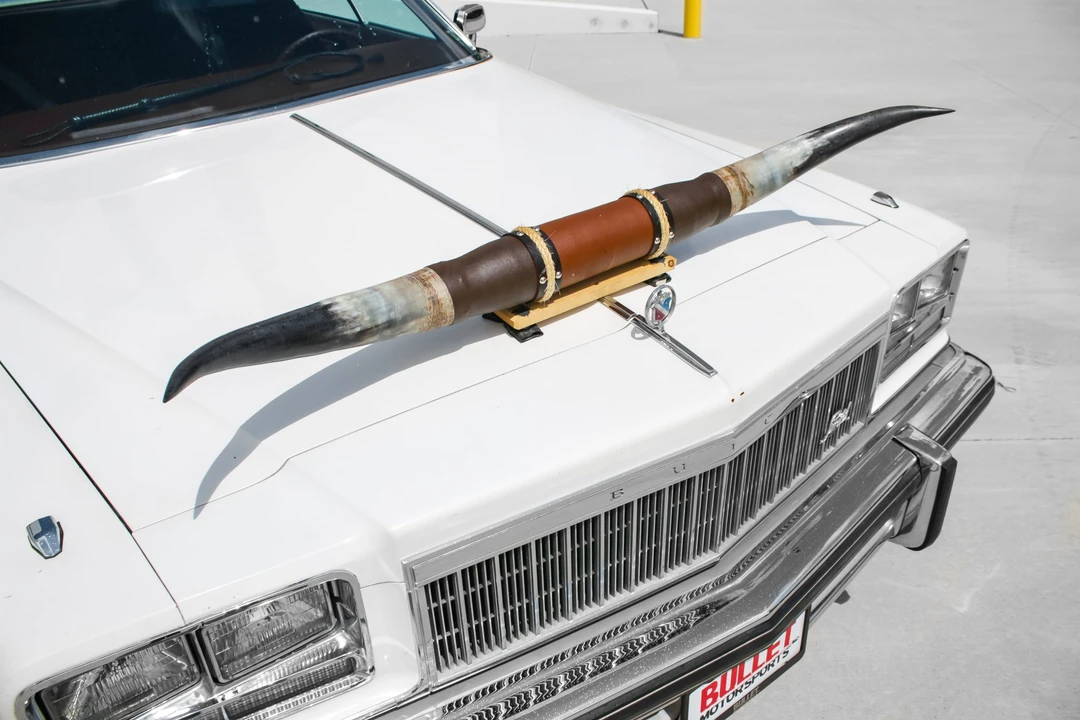 1976 Buick Electra - Image 18 of 31