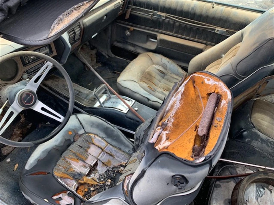 1976 Buick Regal - Image 5 of 10